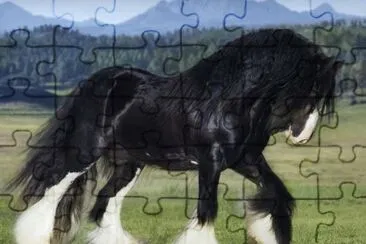 Shire jigsaw puzzle