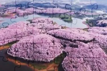 Aerial  View of China 's Cherry Blossoms jigsaw puzzle