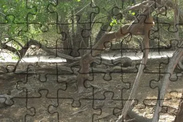 nakalel jigsaw puzzle