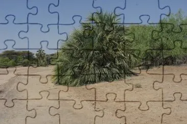 nakalel jigsaw puzzle