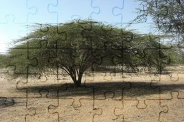 nakalel jigsaw puzzle