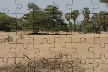 nakalel jigsaw puzzle