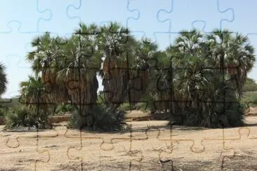 nakalel jigsaw puzzle