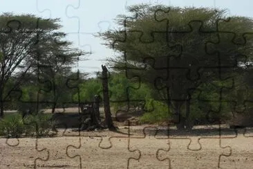 nakalel jigsaw puzzle