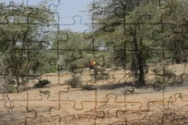 nakalel jigsaw puzzle