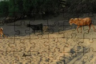 nakalel jigsaw puzzle