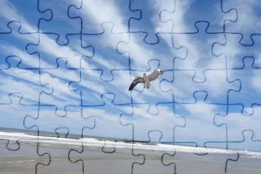 gaivota em Changrila jigsaw puzzle