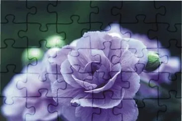 flowers jigsaw puzzle