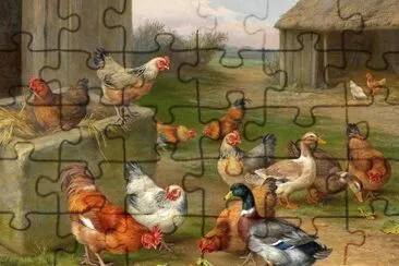 sol jigsaw puzzle