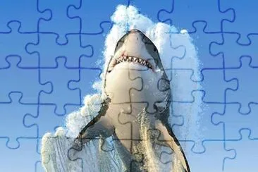 shark jigsaw puzzle