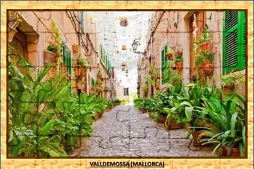 VALLDEMOSSA (MALLORCA)