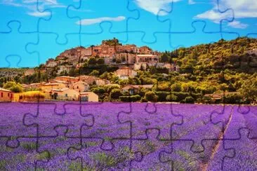 Campos de flor de Lavanda-Francia jigsaw puzzle