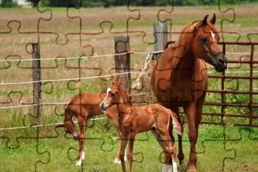 twins jigsaw puzzle