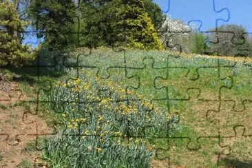 BURCINA jigsaw puzzle