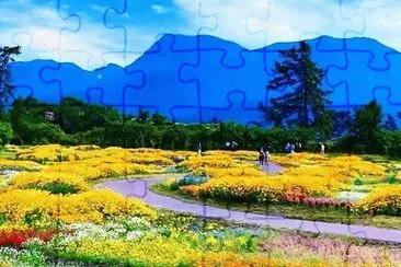 foto jigsaw puzzle