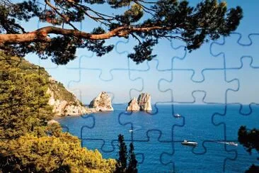 NATUREZA jigsaw puzzle