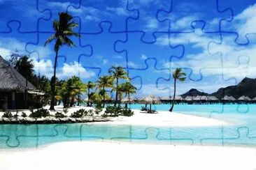 s vip jigsaw puzzle