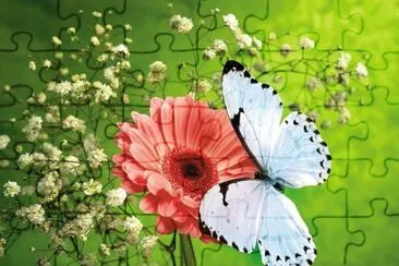 mariposa en una flor jigsaw puzzle