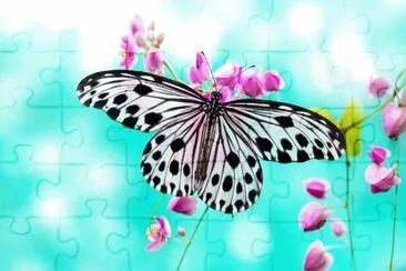 mariposa transparente jigsaw puzzle