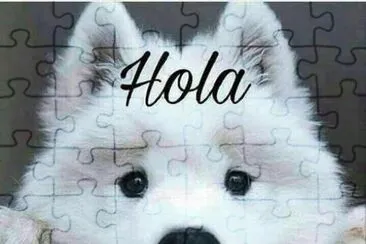 hola