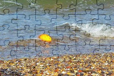 Valencia jigsaw puzzle