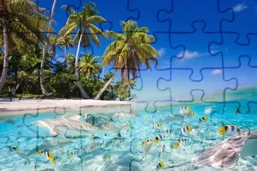 tropic jigsaw puzzle