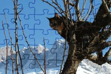 Animaux jigsaw puzzle