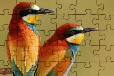 imagem jigsaw puzzle