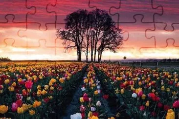 imagem jigsaw puzzle