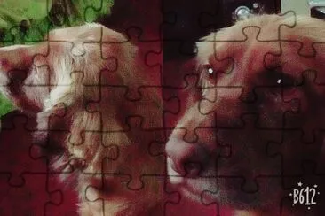 Solchi jigsaw puzzle