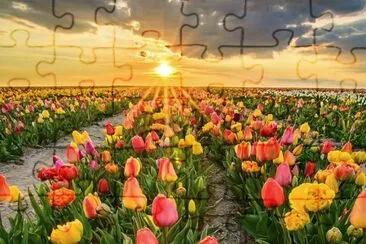 imagem jigsaw puzzle