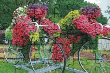 Bicycles with flowers