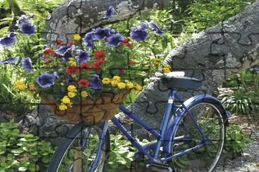 Bicycles with flowers