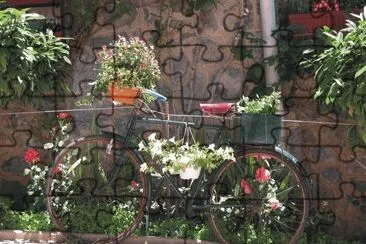 Bicycles with flowers