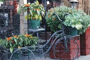 Bicycles with flowers