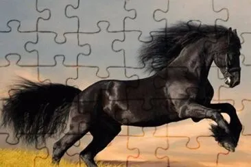 natureza jigsaw puzzle