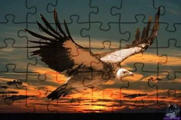 natureza jigsaw puzzle