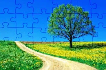 1 jigsaw puzzle