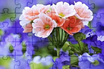 135 jigsaw puzzle