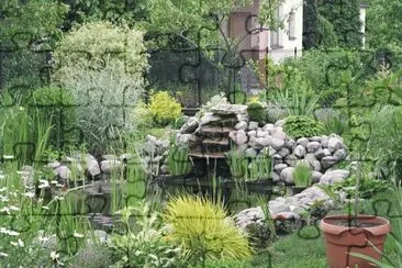 garden with lake