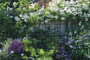 garden jigsaw puzzle