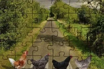 imagem jigsaw puzzle