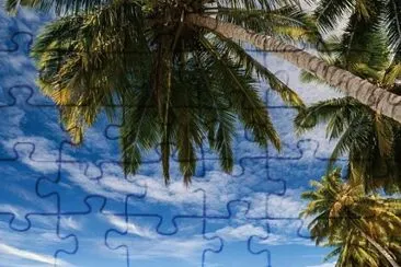 natural jigsaw puzzle