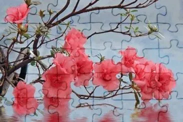 natural jigsaw puzzle