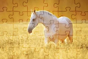 caballo13 jigsaw puzzle