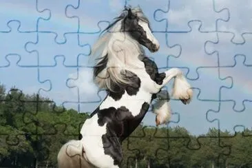 caballo14 jigsaw puzzle