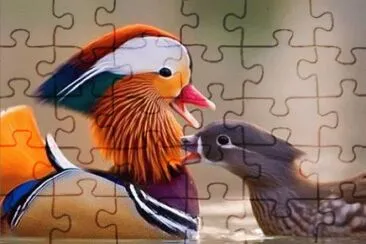 natural jigsaw puzzle