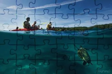 natural jigsaw puzzle