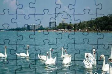 Danubio Meridional -Balaton. jigsaw puzzle