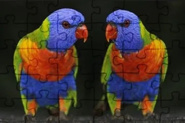 exotic jigsaw puzzle